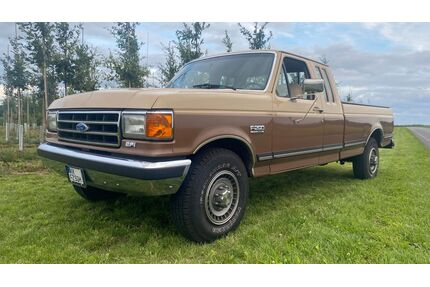 Ford F 250 Gebrauchtwagen