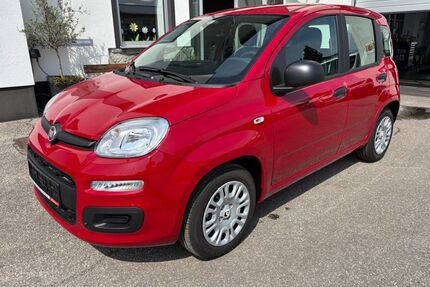 Fiat Panda Gebrauchtwagen