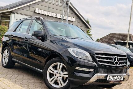 Mercedes-Benz ML 250 Gebrauchtwagen