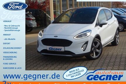 Ford Fiesta Gebrauchtwagen