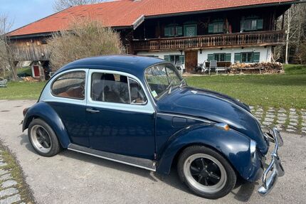 VW Käfer Gebrauchtwagen