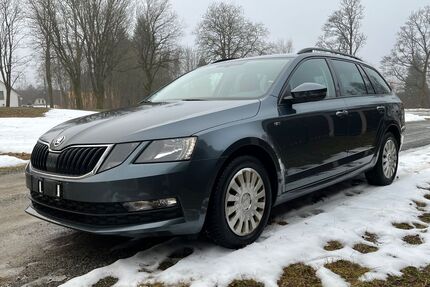 Skoda Octavia Gebrauchtwagen