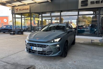 Cupra Terramar Gebrauchtwagen