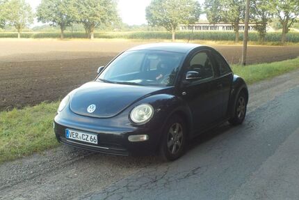 VW Beetle Gebrauchtwagen
