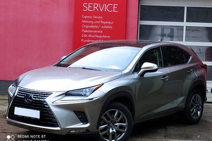 Lexus NX 300 Gebrauchtwagen