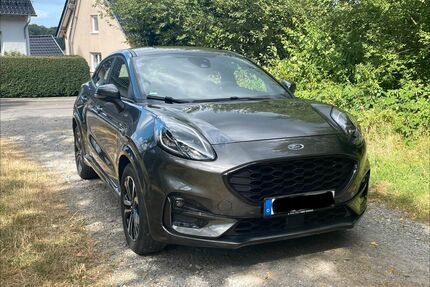 Ford Puma Gebrauchtwagen