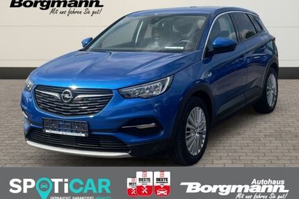 Opel Grandland (X) Gebrauchtwagen