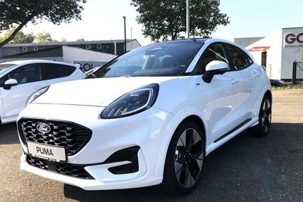 Ford Puma Gebrauchtwagen