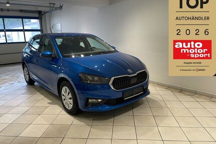 Skoda Fabia Gebrauchtwagen