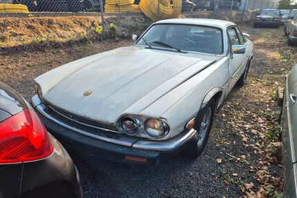 Jaguar XJS Gebrauchtwagen
