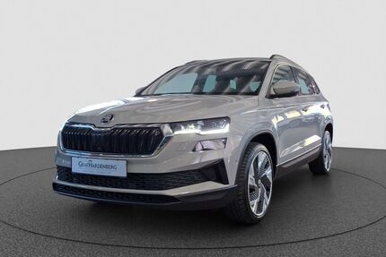 Skoda Karoq Gebrauchtwagen
