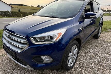 Ford Kuga Gebrauchtwagen
