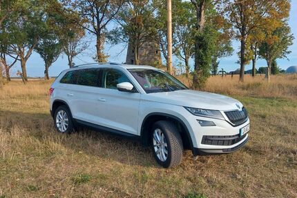 Skoda Kodiaq Gebrauchtwagen