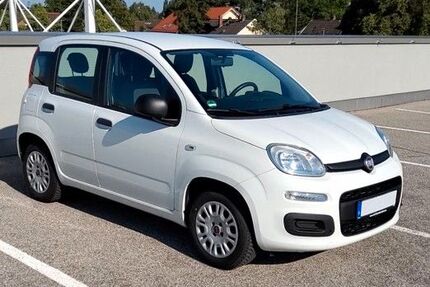 Fiat Panda Gebrauchtwagen