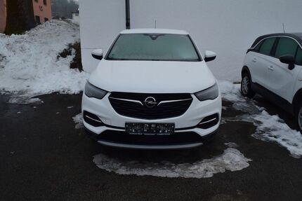Opel Grandland (X) Gebrauchtwagen