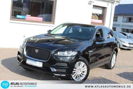 Jaguar F-Pace Gebrauchtwagen