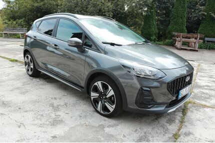 Ford Fiesta Gebrauchtwagen