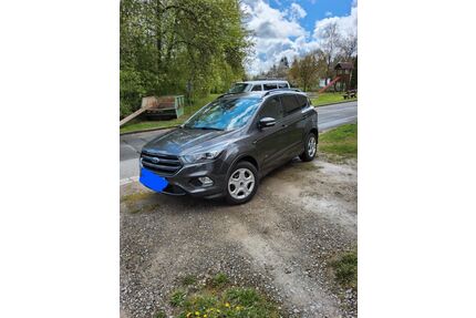 Ford Kuga Gebrauchtwagen