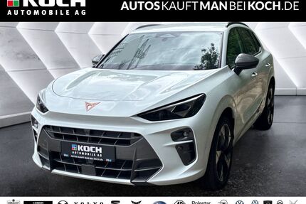 Cupra Terramar Gebrauchtwagen
