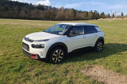 Citroen C4 Cactus Gebrauchtwagen
