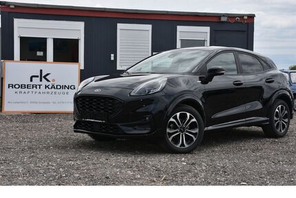Ford Puma Gebrauchtwagen