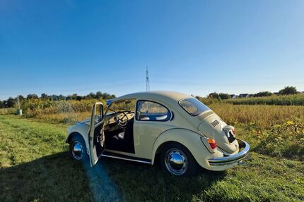 VW Käfer Gebrauchtwagen
