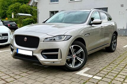 Jaguar F-Pace Gebrauchtwagen