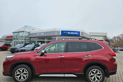 Subaru Forester Gebrauchtwagen