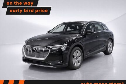 Audi e-tron Gebrauchtwagen