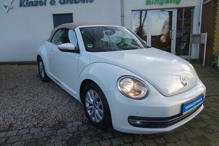 VW Beetle Gebrauchtwagen