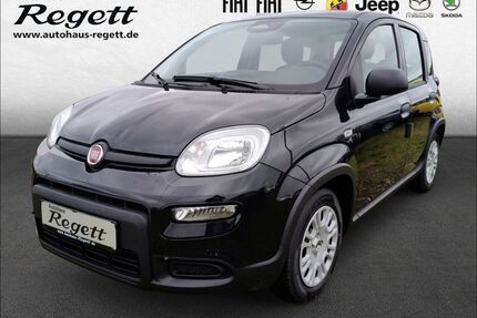 Fiat Panda Gebrauchtwagen