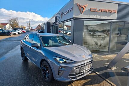Cupra Terramar Gebrauchtwagen