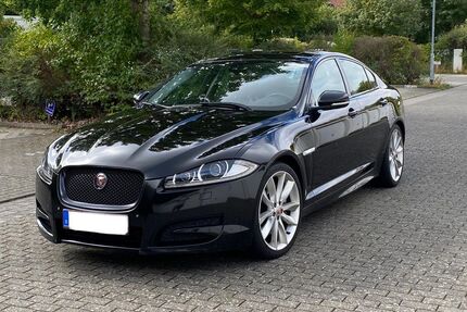 Jaguar XF Gebrauchtwagen