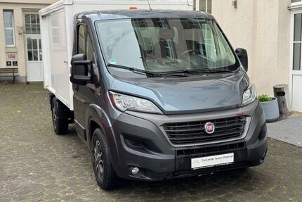Fiat Ducato Gebrauchtwagen