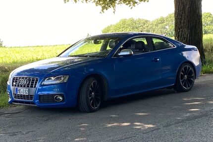 Audi S5 Gebrauchtwagen