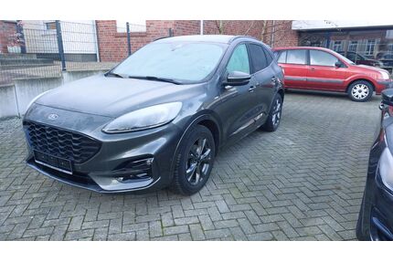 Ford Kuga Gebrauchtwagen