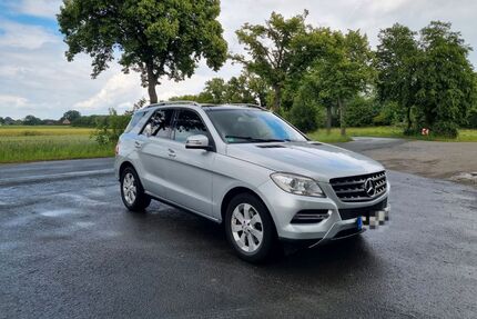 Mercedes-Benz ML 250 Gebrauchtwagen