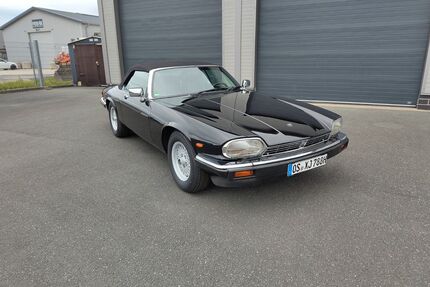 Jaguar XJS Gebrauchtwagen