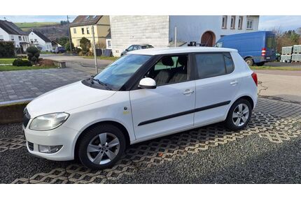 Skoda Fabia Gebrauchtwagen