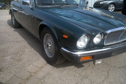 Jaguar XJ12 Gebrauchtwagen