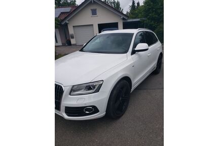 Audi Q5 Gebrauchtwagen