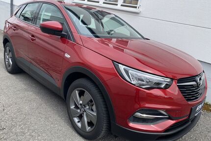 Opel Grandland (X) Gebrauchtwagen