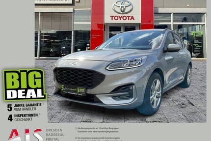 Ford Kuga Gebrauchtwagen