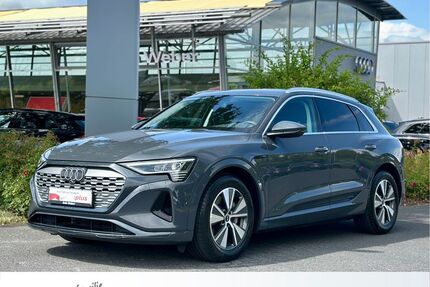 Audi Q8 e-tron Gebrauchtwagen