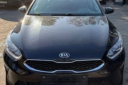 Kia ceed / Ceed Gebrauchtwagen