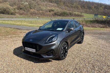 Ford Puma Gebrauchtwagen