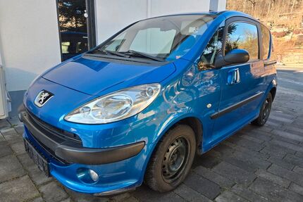 Peugeot 1007 Gebrauchtwagen