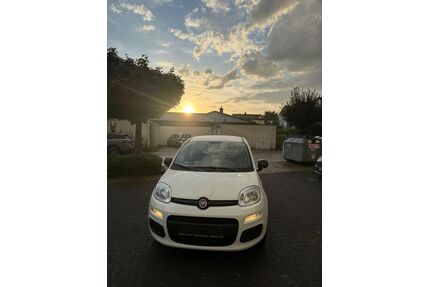 Fiat Panda Gebrauchtwagen