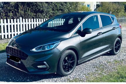 Ford Fiesta Gebrauchtwagen