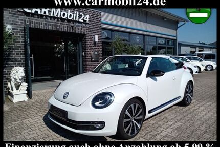 SWM Beetle 